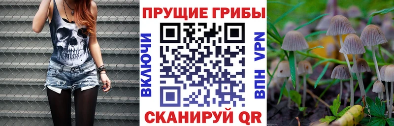 ссылка на мегу рабочий сайт  Тетюши  Псилоцибиновые грибы мухоморы 